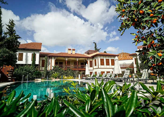 Ruinadalia (adults Only) 2*