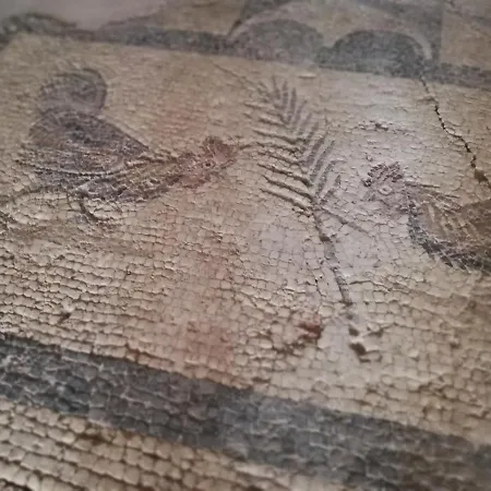 Ruinadalia - Adult Only