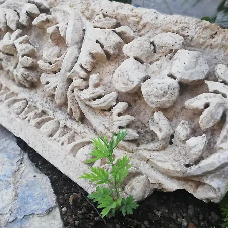 Hotel Ruinadalia - Adult Only