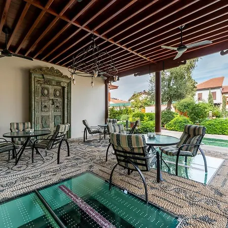 Ruinadalia - Adult Only