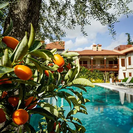 Ruinadalia - Adult Only Hotel 2*