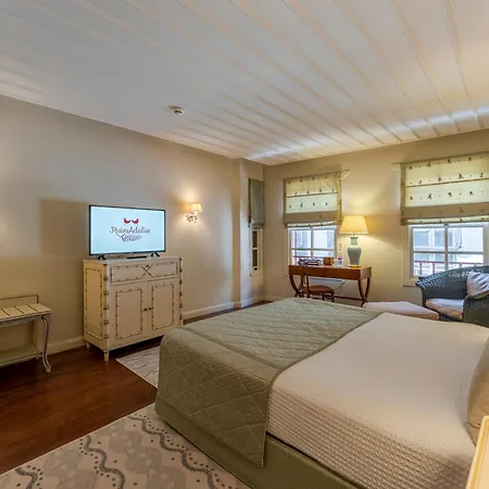 Hotel Ruinadalia (adults Only)